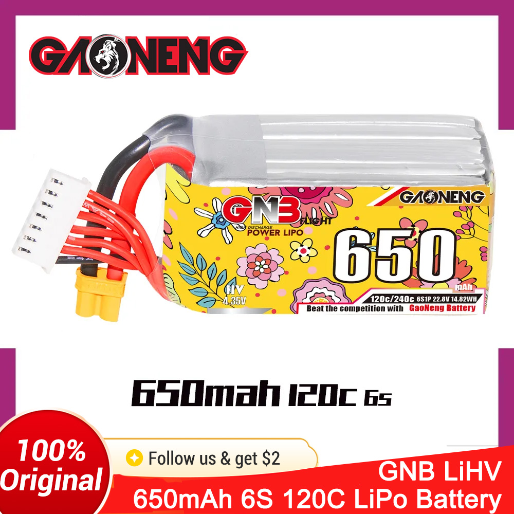 Batteria LiPo GAONENG 6S 650mA - Drone Battery 6S recensione e prezzo