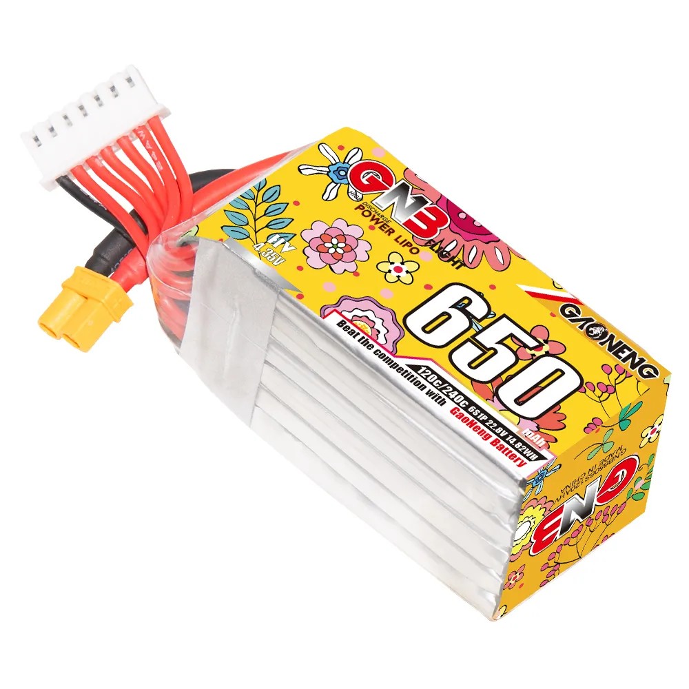 Batteria LiPo GAONENG 6S 650mA - Drone Battery 6S recensione e prezzo